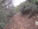 photo thumbnail #10