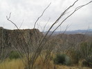photo thumbnail #9