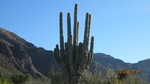 photo thumbnail #1