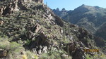 photo thumbnail #12