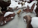 photo thumbnail #6