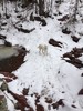 photo thumbnail #8