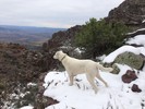 photo thumbnail #9