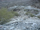 photo thumbnail #15