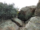 photo thumbnail #6