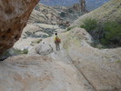 photo thumbnail #9