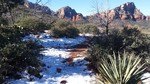 photo thumbnail #1