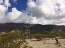photo thumbnail #1