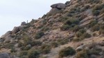 photo thumbnail #10
