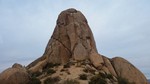 photo thumbnail #15
