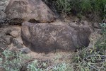 photo thumbnail #6