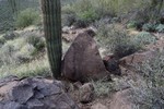 photo thumbnail #9