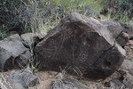 photo thumbnail #12