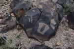 photo thumbnail #15