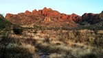 photo thumbnail #2