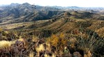 photo thumbnail #6