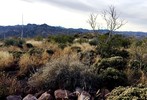 photo thumbnail #9