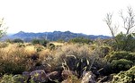 photo thumbnail #15