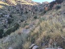 photo thumbnail #1