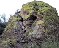 photo thumbnail #11