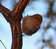 photo thumbnail #5