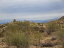 photo thumbnail #3