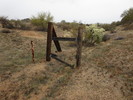 photo thumbnail #13