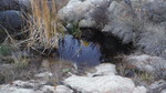 photo thumbnail #14