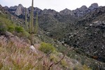 photo thumbnail #4