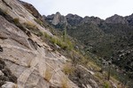 photo thumbnail #5