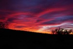photo thumbnail #10