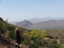 photo thumbnail #2