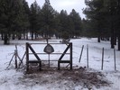 photo thumbnail #4