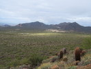photo thumbnail #7