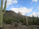 photo thumbnail #5