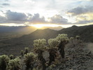 photo thumbnail #2