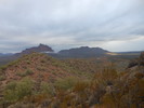 photo thumbnail #1
