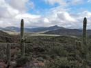 photo thumbnail #3