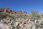 photo thumbnail #5