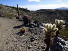 photo thumbnail #2