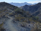 photo thumbnail #3