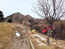 photo thumbnail #1