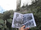 photo thumbnail #4