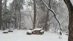 photo thumbnail #2