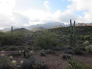 photo thumbnail #1