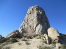 photo thumbnail #1