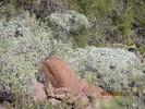 photo thumbnail #7