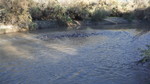 photo thumbnail #15