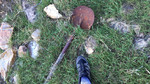 photo thumbnail #7