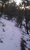 photo thumbnail #14